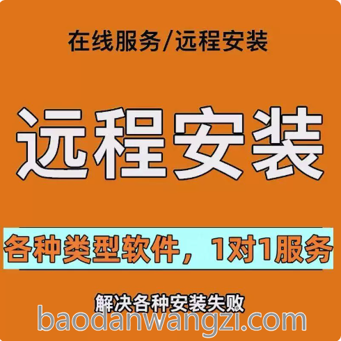 高级远程服务(AI类软件安装/指导)